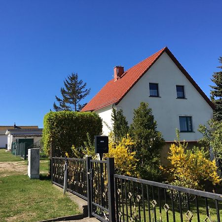 Ferienwohnung Chihuahua Thiessow Exteriér fotografie